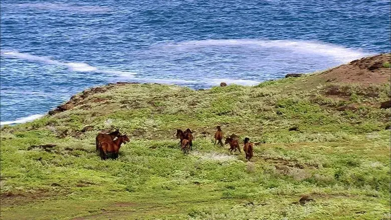 Les Marquises, aux sources de la Polynesie (2023)