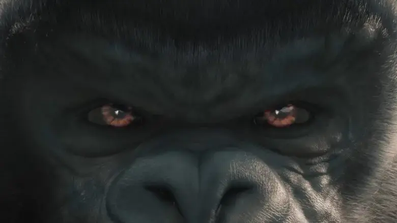 Liyoki (2020)
