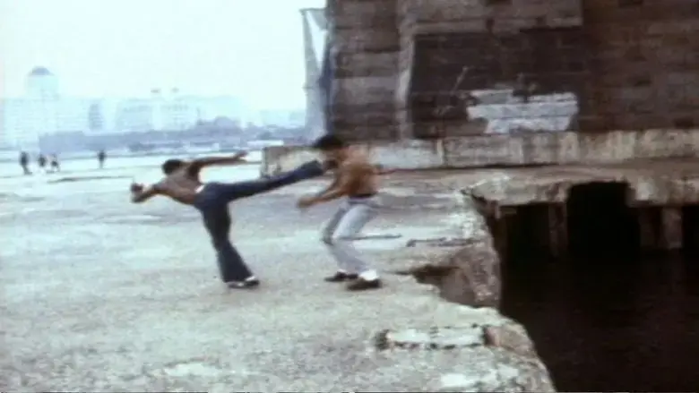The Deadly Art of Survival (1979)