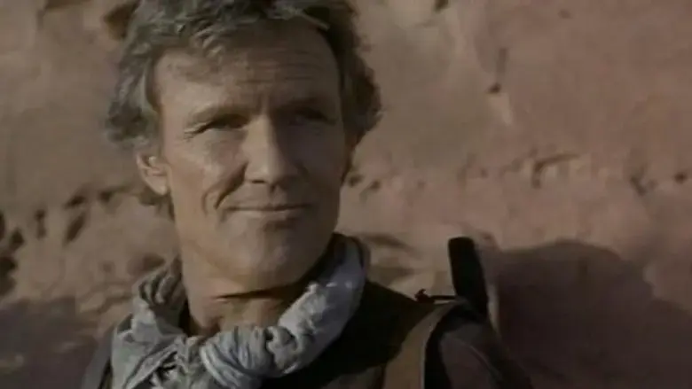Knights (1993)
