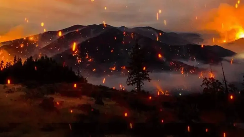 Elemental: Reimagine Wildfire (2022)