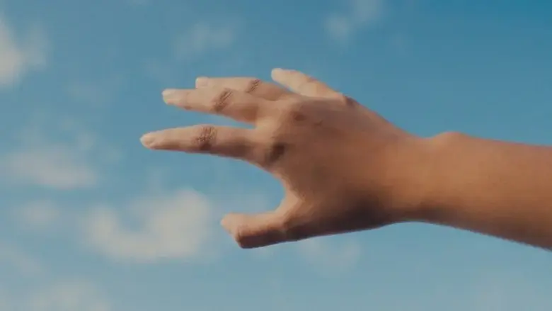 3rd Color Anatomy (2025)