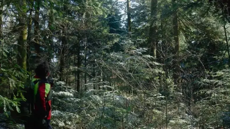 Inestimables forets (2024)