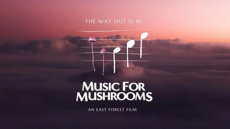 Music for Mushrooms (2024)