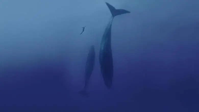 Freediver (2024)