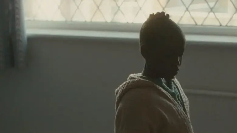 Stolen (2011)