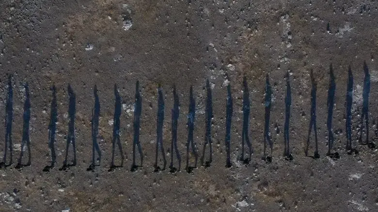 Rojek (2022)