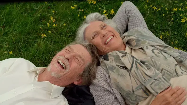 Love at First Sight (2010)