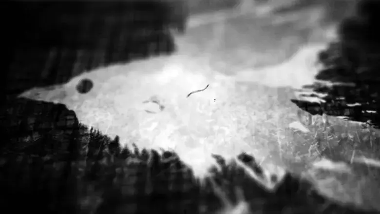 Ted Hughes: Stronger Than Death (2015)
