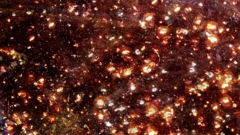 The Picture from Darkness (2016)