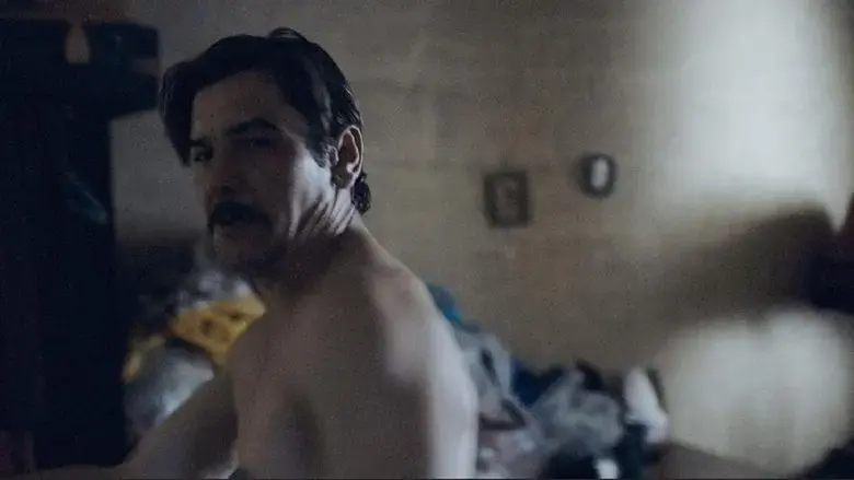 Bitter herb (2019)