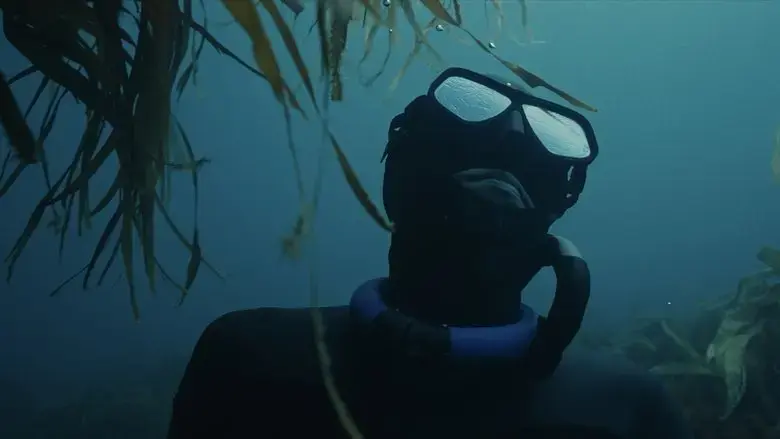 The Hold (2024)