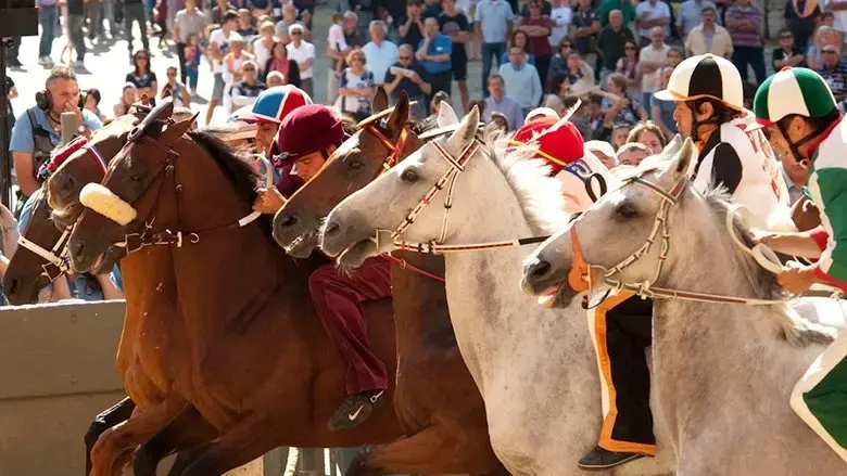 Palio (2015)