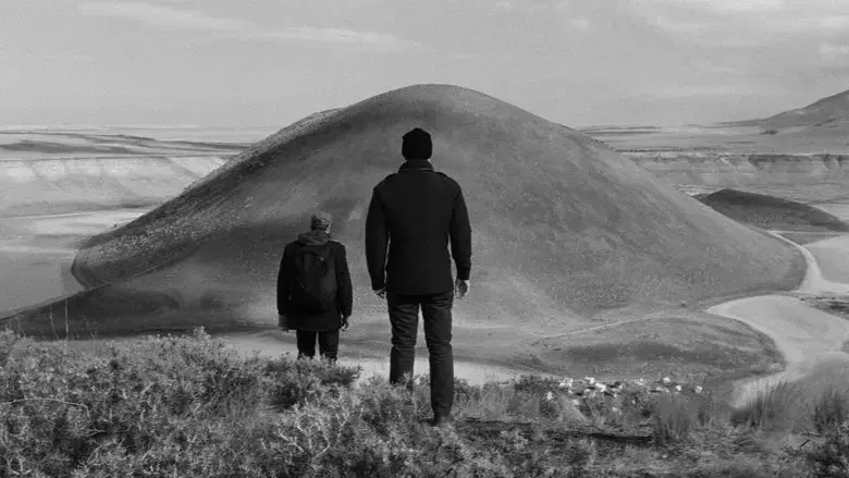 Grain (2017)