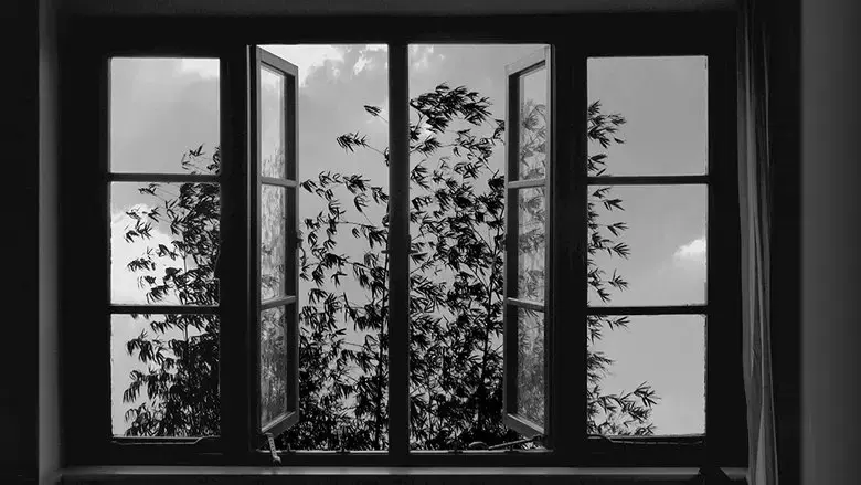 24 Frames (2018)