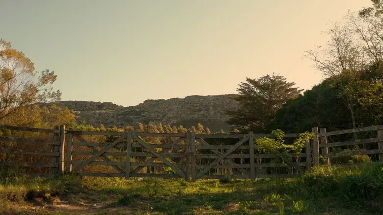 En los Arboles (2025)