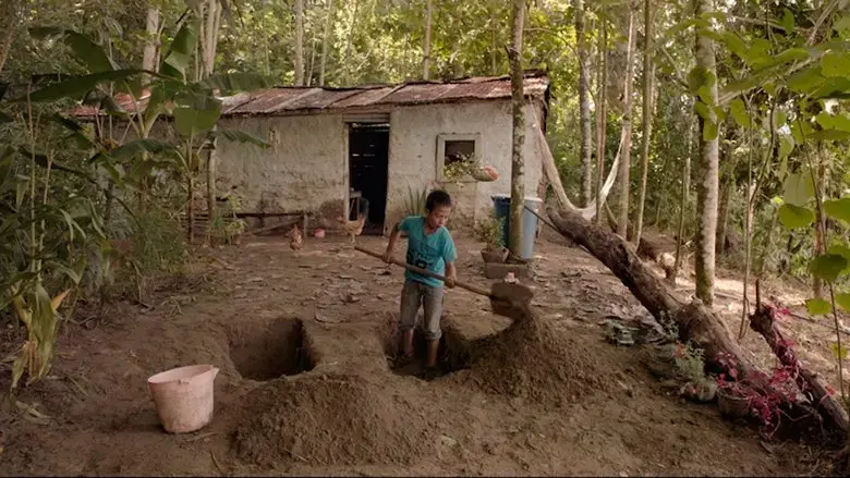 Swamp (2017)
