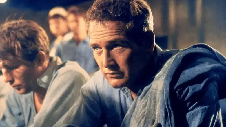 Paul Newman, l'intranquille (2023)
