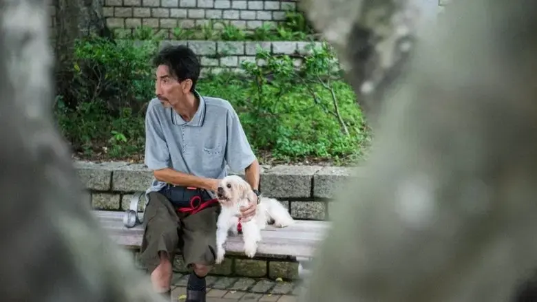 Old man and a dog (2019)