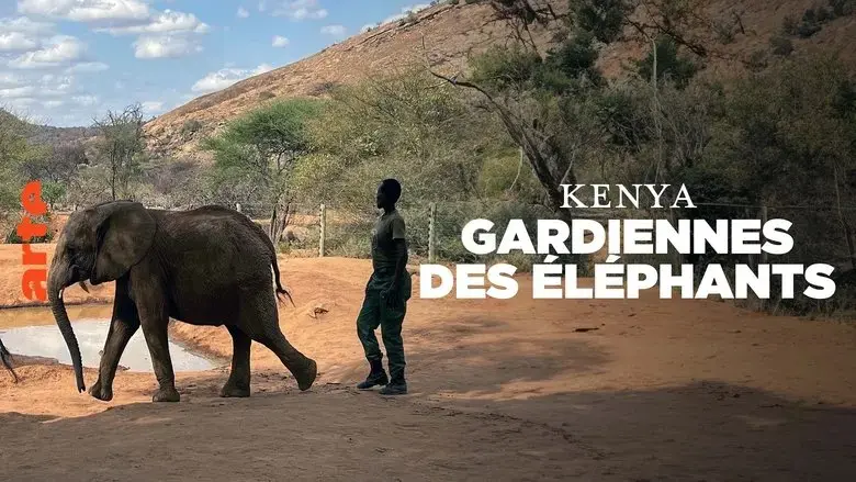 Kenya - Gardiennes des elephants (2024)