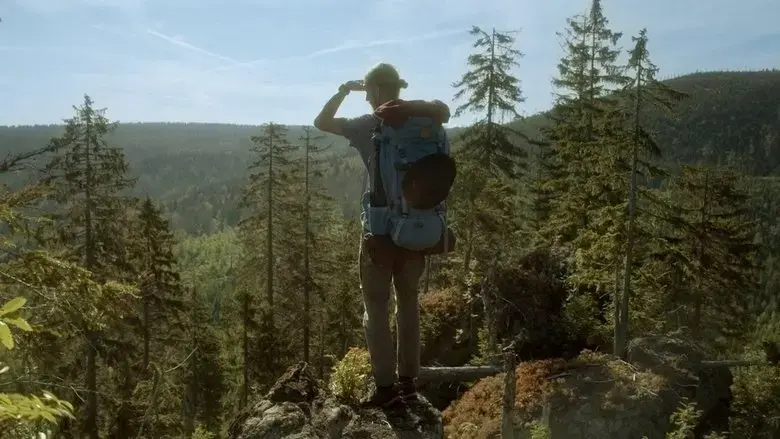 The Wild Forest (2021)