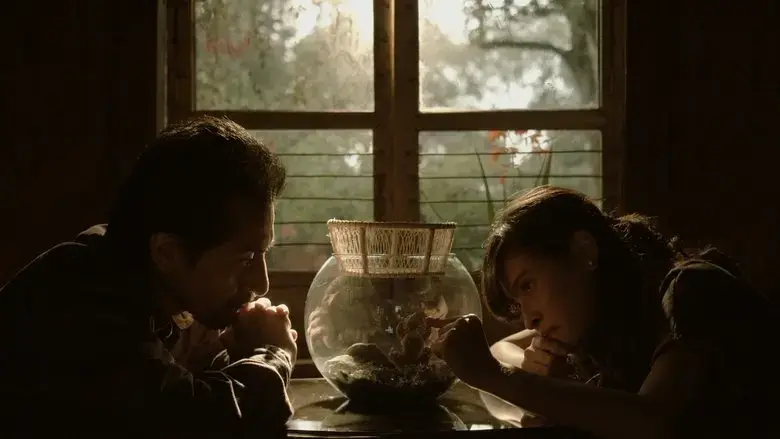 The Sea Between The Houses (2020)