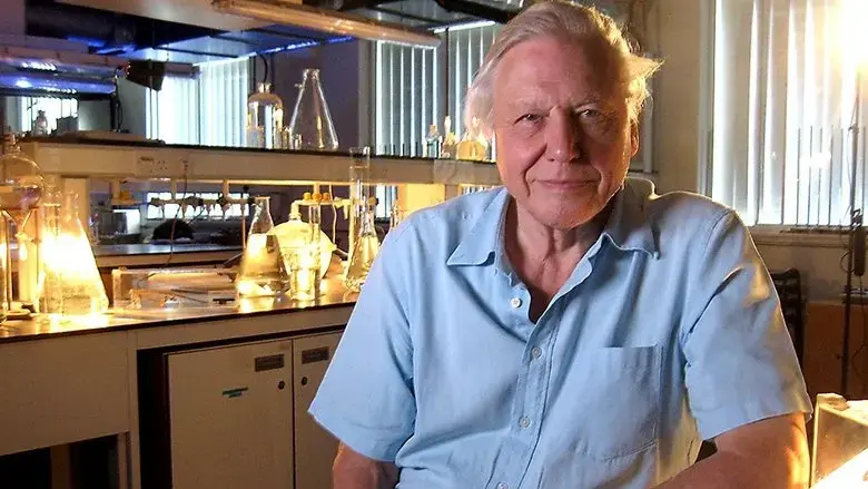 Mad and Bad: 60 Years of Science on TV (2010)