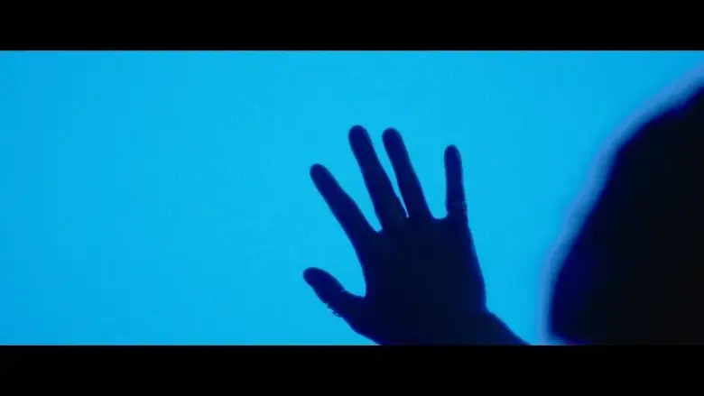 Lucid (2025)