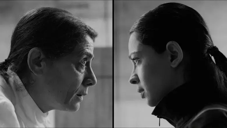 In Vitro (2019)
