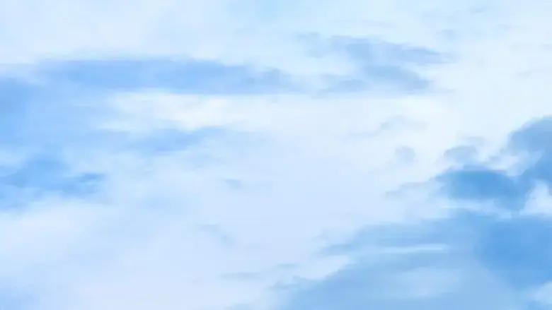 Rosie's Rescue (2020)