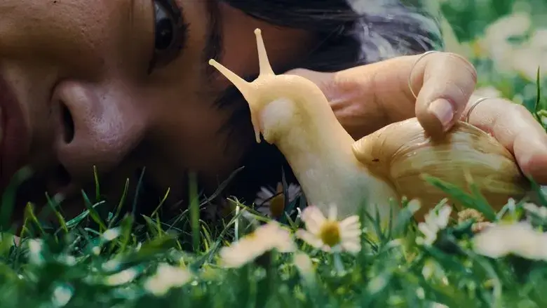 My Pet and Me (2022)