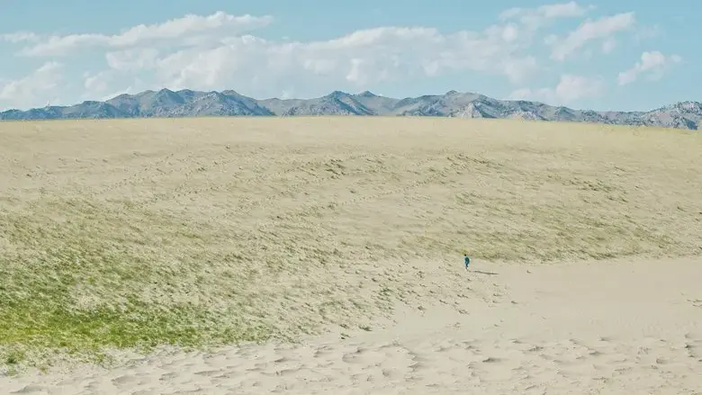 The Empty Canvas (2022)