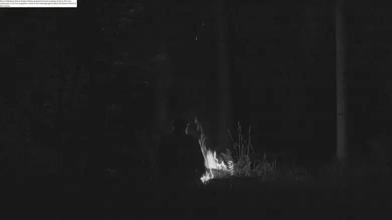 The Hermit (2018)