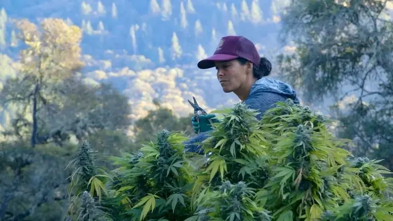 Lady Buds (2021)