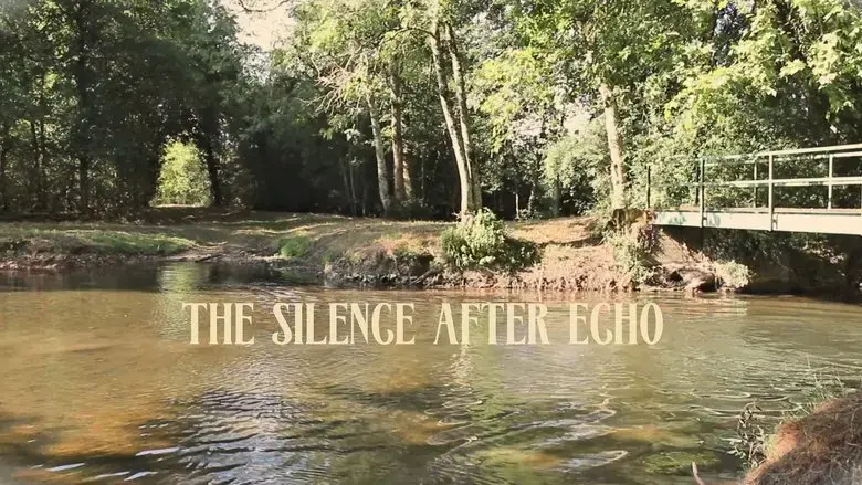 The silence after echo (2025)