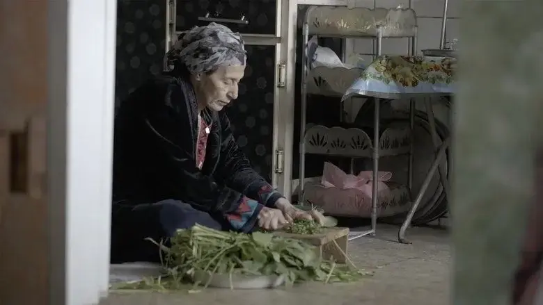 Flana (2025)