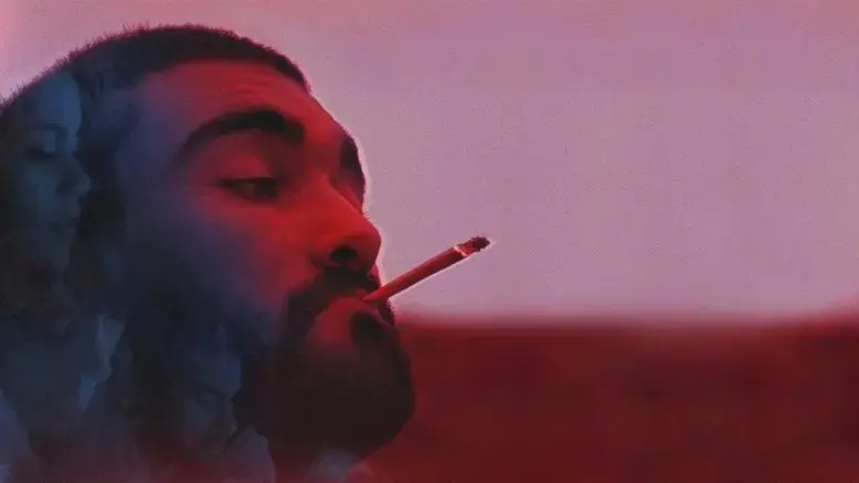Damned Summer (2017)