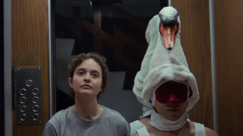 Leda in the Elevator (2023)