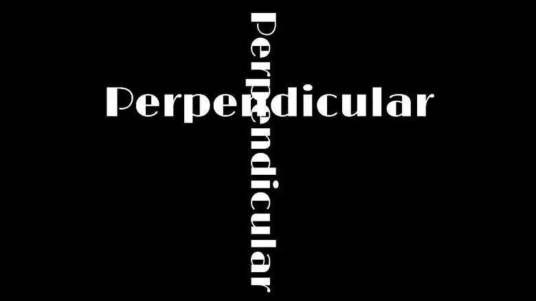 Perpendicular (2025)