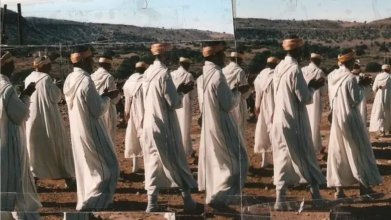 A Hundred Camels in the Courtyard (2018)