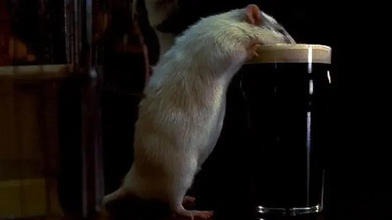Rat (2000)