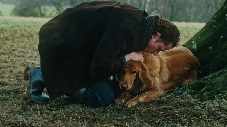 Letting Go (2018)