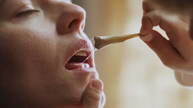 The Hand That Feeds (2023)