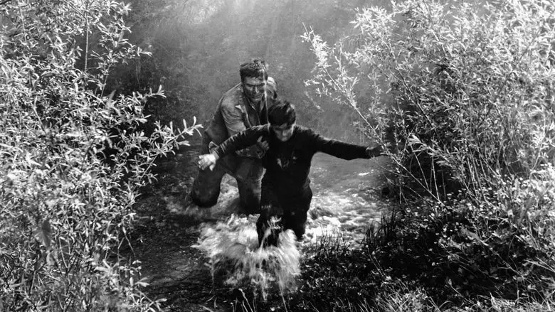 My Son Don't Turn Round (1956)