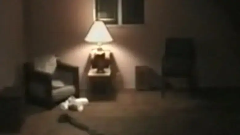 Coyote (2002)