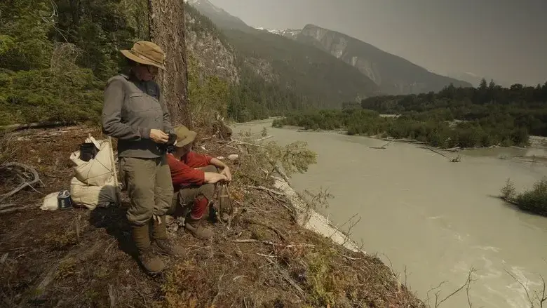 The Mystery Mountain Project (2021)