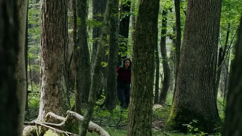 Through the Trees (2022)