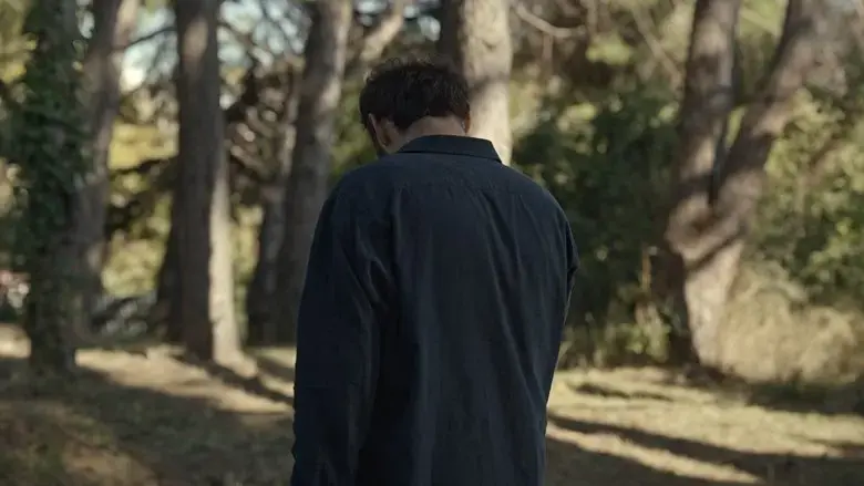 Duvar Duvar (2024)