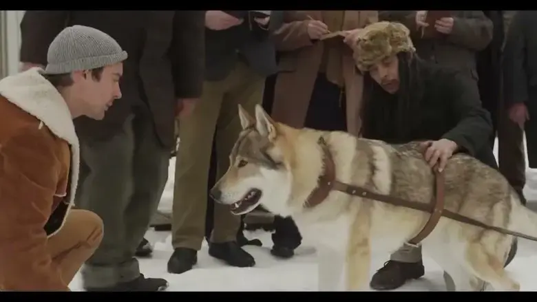 Son of the Wolf (2024)