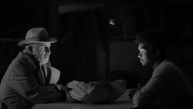 What Lies Under the Tree (2023)